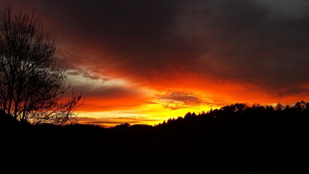 Bella Natura Loffenau Εξωτερικό φωτογραφία